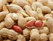 Аллергию на арахис вылечат пластырем