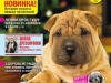 У молодой немецкой овчарки одно ухо висит, возможно сломан хрящ.Можно ли исправить этот дефект?